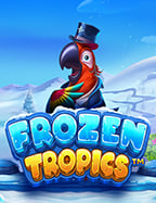 ufa socialjoker แตก ดี แนะนำสูตรทำกำไร